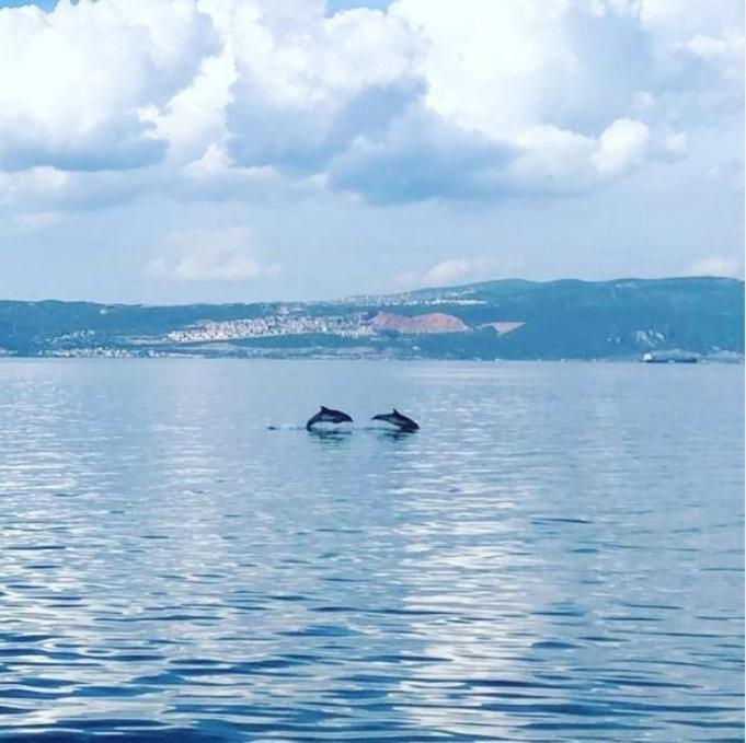 Blue Pier Hotel Kocaeli Eksteriør bilde